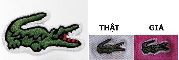 Cách để nhận biết áo thun cá sấu Lacoste giả năm 2020 - Order hàng ...